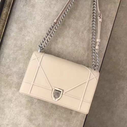 Dior Bag 008